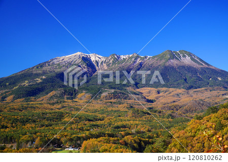 秋の開田高原　九蔵峠から眺めた御嶽山と紅葉 120810262