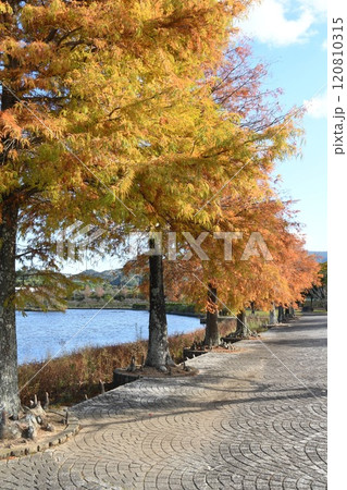 朝熊山麓公園と紅葉 120810315