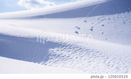 鳥取砂丘の雪景色 鳥取砂丘の雪景色 120810528