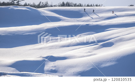 鳥取砂丘の雪景色  120810535