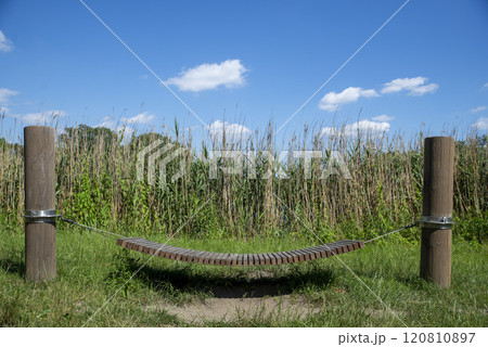 Relaxation Spot in Nature with Wooden Hammock 120810897