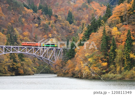 只見線「紅葉した山肌の木々と第一只見川橋梁」 只見線「紅葉した山肌の木々と第一只見川橋梁」 120811349