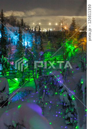 Magic forest at winter, Mysterious Forest in Murmansk region, Kirovsk, fantastic creation 120811350