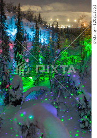 Magic forest at winter, Mysterious Forest in Murmansk region, Kirovsk, fantastic creation 120811351