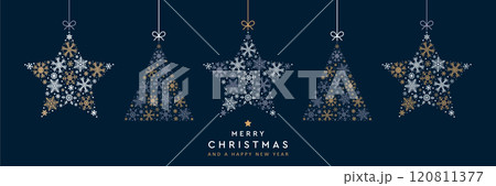 christmas greeting card with hanging snowflake fir tree and star decoration vector illustration 120811377