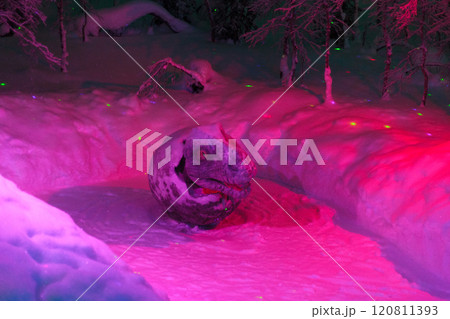Magic forest at winter, Mysterious Forest in Murmansk region, Kirovsk, fantastic creation Magic forest at winter, Mysterious Forest in Murmansk region, Kirovsk, fantastic creation 120811393