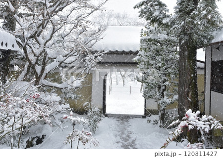 雪の天龍寺　慈濟院 120811427