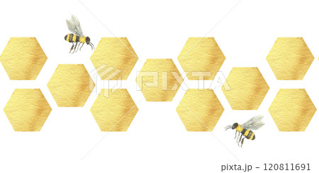 Golden eco honey hexagons seamless banner with honeycombs and flying bees. Watercolor abstract border, food background for product packing, kitchen textile,fabric design. Farm insect clipart 120811691