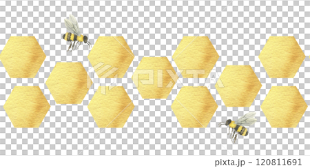 Golden eco honey hexagons seamless banner with honeycombs and flying bees. Watercolor abstract border, food background for product packing, kitchen textile,fabric design. Farm insect clipart 120811691
