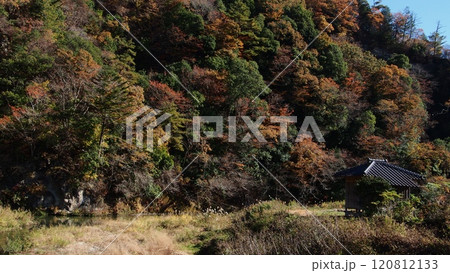 晩秋の里川の河畔 120812133