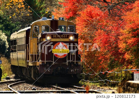錦秋の鉄路をトロッコ列車が行く…  『トロッコわたらせ渓谷号』沢入駅にて 120812173
