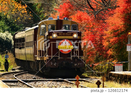 錦秋の鉄路をトロッコ列車が行く…  『トロッコわたらせ渓谷号』沢入駅にて 120812174