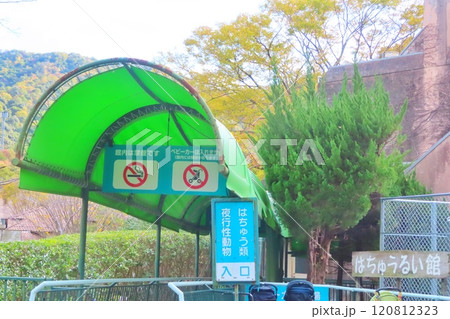 【広島県】広島市安佐動物公園はちゅうるい館 120812323