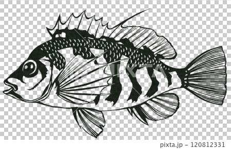 鹹水魚 Okigon 的簡單黑白剪圖 鹹水魚 Okigon 的簡單黑白剪圖 120812331