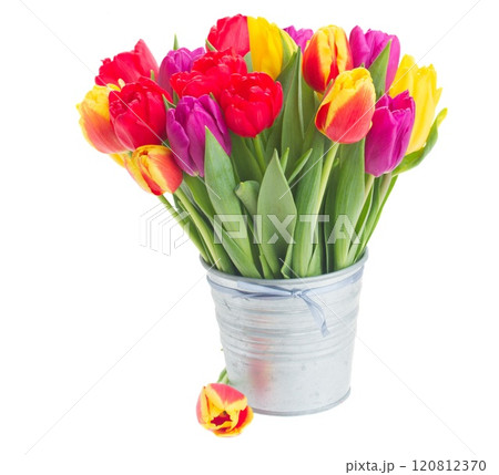 spring flowers in vase spring flowers in vase 120812370