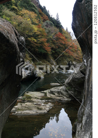 銅山川(吉野川最長の支流)の富郷渓谷の紅葉(晩秋) 銅山川(吉野川最長の支流)の富郷渓谷の紅葉(晩秋) 120812502