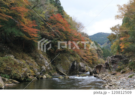 銅山川(吉野川最長の支流)の富郷渓谷の紅葉(晩秋) 銅山川(吉野川最長の支流)の富郷渓谷の紅葉(晩秋) 120812509