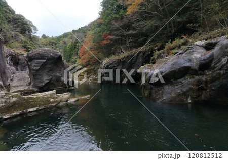 銅山川(吉野川最長の支流)の富郷渓谷の紅葉(晩秋) 銅山川(吉野川最長の支流)の富郷渓谷の紅葉(晩秋) 120812512