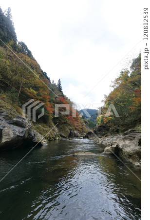 銅山川（吉野川最長の支流）の富郷渓谷の紅葉（晩秋） 120812539