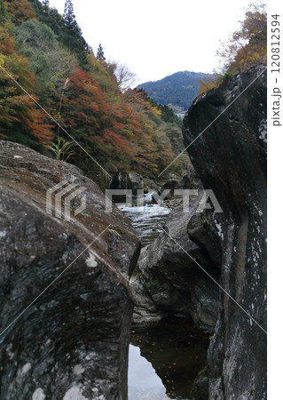 銅山川(吉野川最長の支流)の富郷渓谷の紅葉(晩秋) 銅山川(吉野川最長の支流)の富郷渓谷の紅葉(晩秋) 120812594