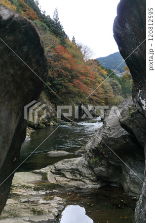 銅山川(吉野川最長の支流)の富郷渓谷の紅葉(晩秋) 銅山川(吉野川最長の支流)の富郷渓谷の紅葉(晩秋) 120812595