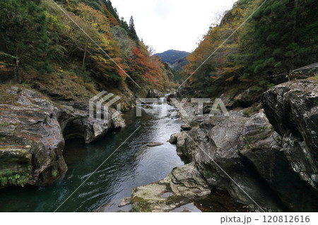 銅山川（吉野川最長の支流）の富郷渓谷の紅葉と甌穴（晩秋） 120812616