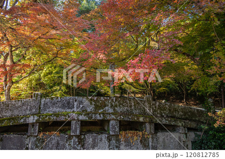 大津市坂本秋景色　日吉大社二宮橋 120812785