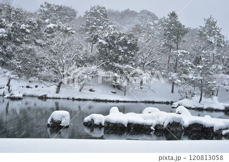 雪の降る天龍寺 曹源池庭園 雪の降る天龍寺 曹源池庭園 120813058