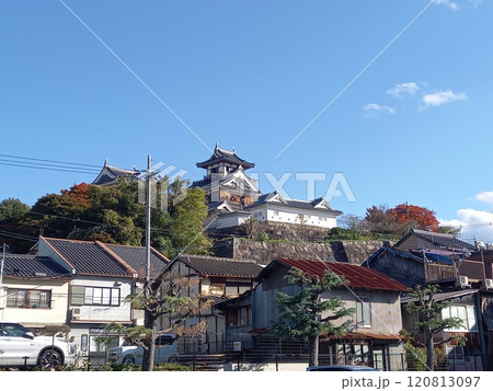 福知山城　遠景 120813097