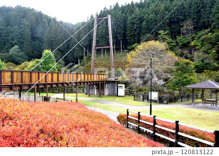 豊田市　いなぶ大井平公園の風の風のつり橋 120813122