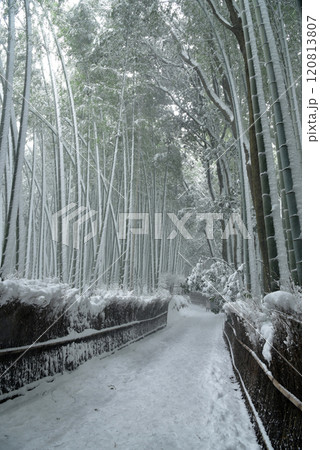 雪の降り積もる竹林の小道　嵯峨野 120813807