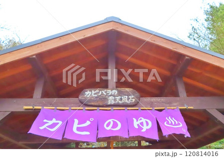 カピバラ温泉 120814016