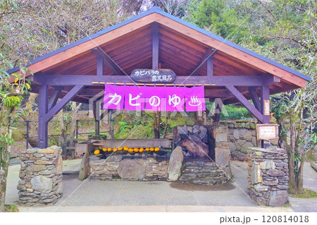 カピバラ温泉 120814018