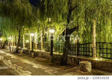 伊東　松川遊歩道　竹あかり　静岡県伊東市 120814228