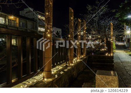 伊東　松川遊歩道　竹あかり　静岡県伊東市 120814229