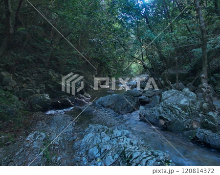 沖縄県大宜味村　ター滝へ向かう途中の平南川 120814372