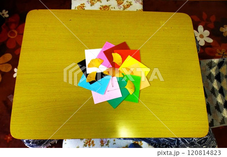 銀杏の黄葉と色紙 120814823