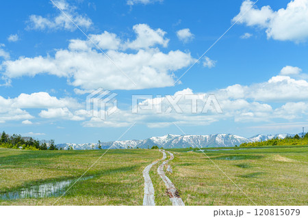 田代山登山　美しい高層湿原　絶景登山 120815079