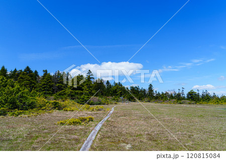 田代山登山　美しい高層湿原　絶景登山 120815084