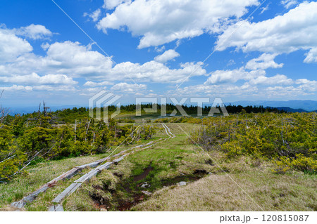 田代山登山　美しい高層湿原　絶景登山 120815087