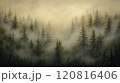 Muted vintage painting of dense evergreen forest in mist, detailed trees, soft light and shadow transitions	 120816406