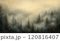 Muted vintage painting of dense evergreen forest in mist, detailed trees, soft light and shadow transitions	 120816407