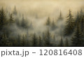 Muted vintage painting of dense evergreen forest in mist, detailed trees, soft light and shadow transitions	 120816408