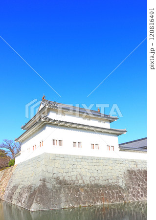 静岡県静岡市、駿府城巽櫓の風景 静岡県静岡市、駿府城巽櫓の風景 120816491