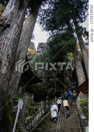 榛名神社の矢立杉と神幸殿 120816690
