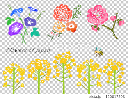 水彩画タッチの花のベクターイラスト（背景透過） 120817208