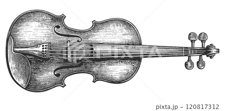 Violin Detailed Vintage Engraving Illustration White Background with Intricate Texture Classic Musical Instrument Art Antique Style Stringed Instrument Graphic Vintage Music Design 120817312