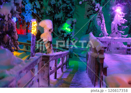 Magic forest at winter, Mysterious Forest in Murmansk region, Kirovsk, fantastic creation 120817358