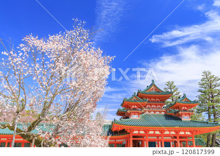 平安神宮 神苑の満開の桜 120817399