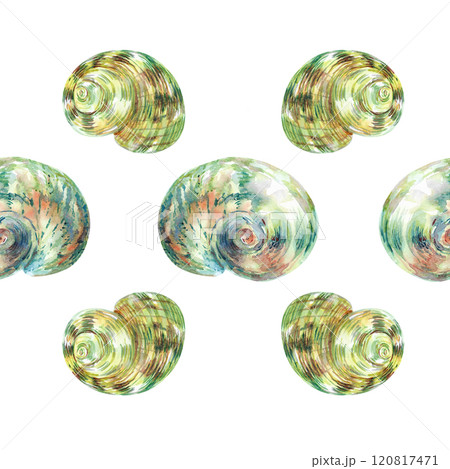 Shell pattern underwater world in watercolor. Turbo shell, Moon snail sea shells with different form. Sea snails can be used as a sticker, a printed postcard, poster for a spa salon, spa center 120817471